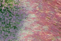 阿隆索执掌皇马教鞭，独特战术助球队重振雄风，五战全胜创佳绩